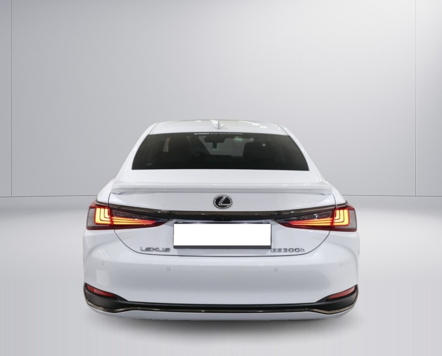 Lexus Seria ES 300h (4)