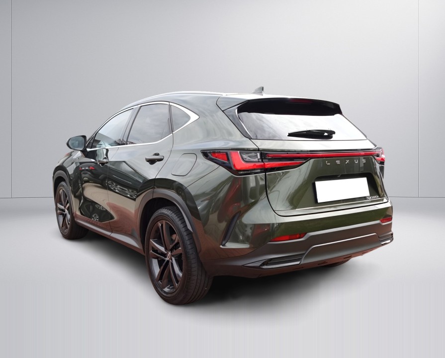 Lexus Seria NX 350h AWD Executive Line (4)