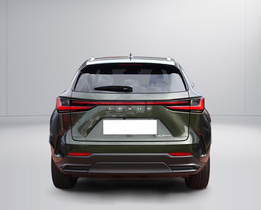 Lexus Seria NX 350h AWD Executive Line (3)