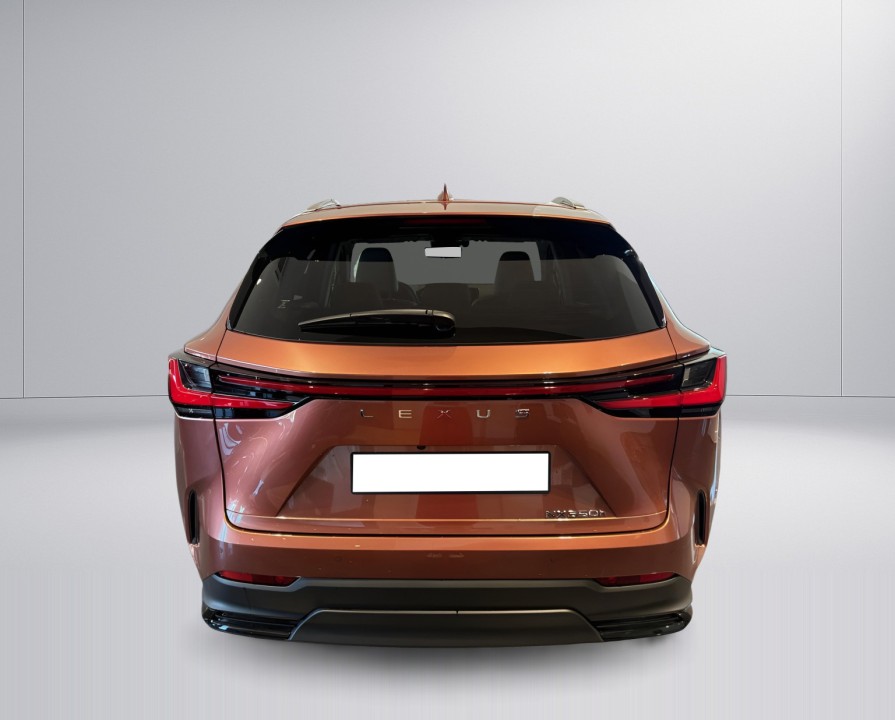 Lexus Seria NX 450h+ AWD Luxury (4)