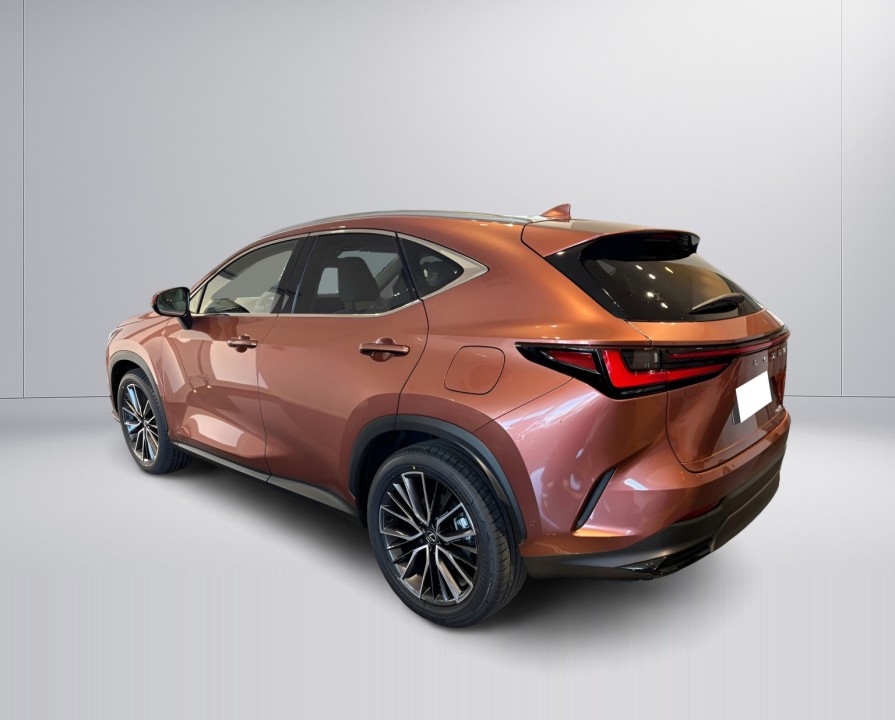 Lexus Seria NX 450h+ AWD Luxury (5)