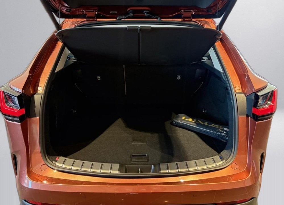 Lexus Seria NX 450h+ AWD Luxury - foto 11