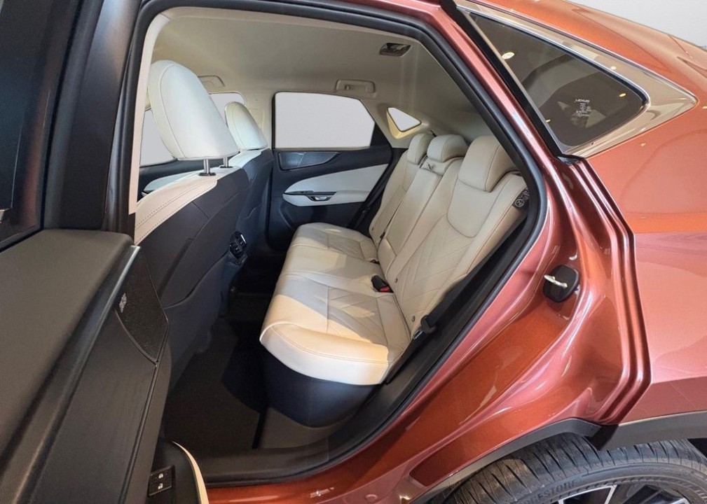 Lexus Seria NX 450h+ AWD Luxury - foto 10