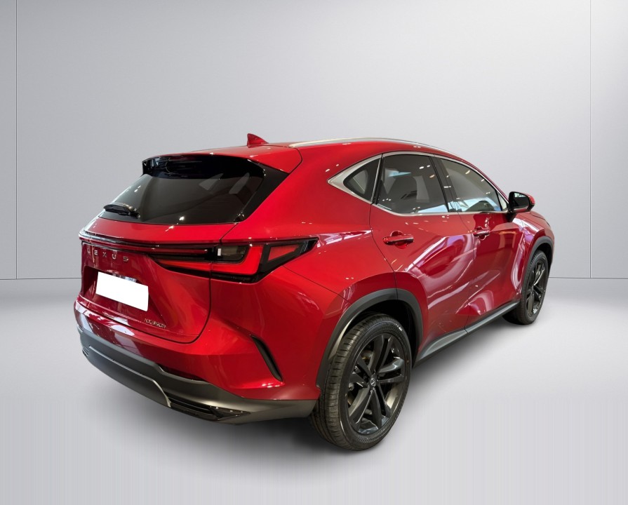 Lexus Seria NX 350h AWD Executive Line (3)