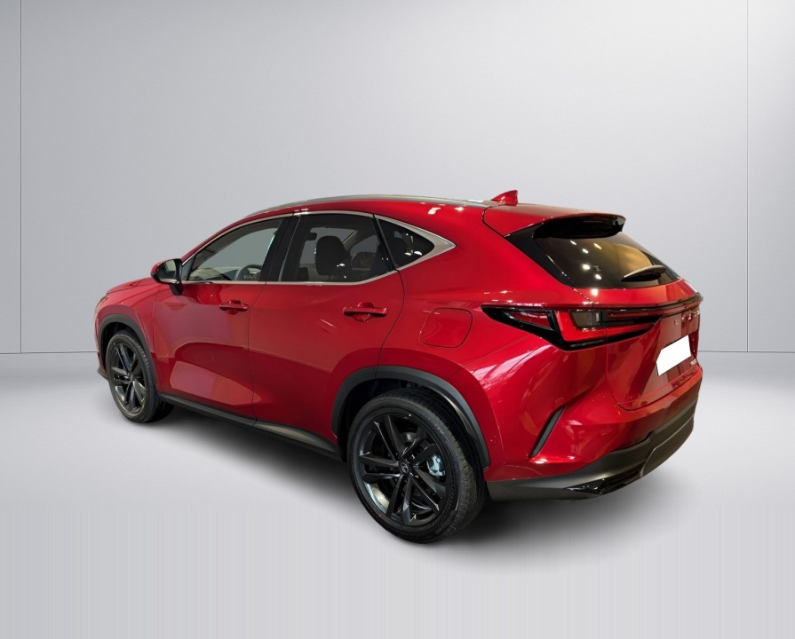 Lexus Seria NX 350h AWD Executive Line (5)