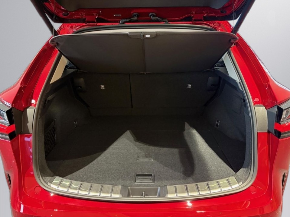 Lexus Seria NX 350h AWD Executive Line - foto 12