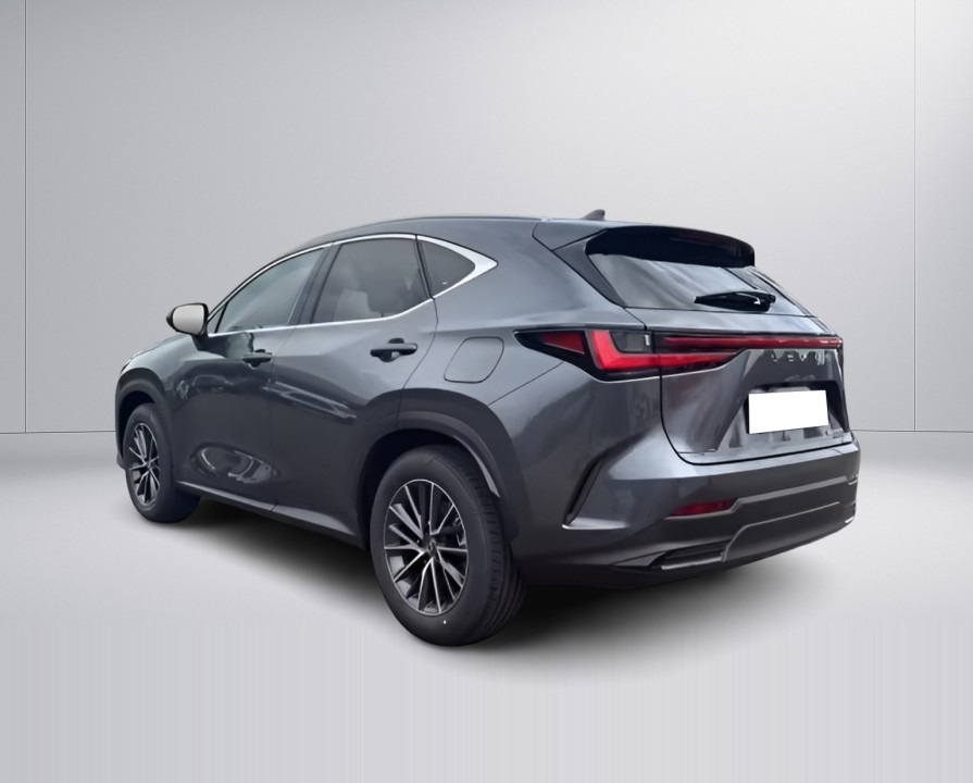 Lexus Seria NX Lexus NX 350h Executive (5)