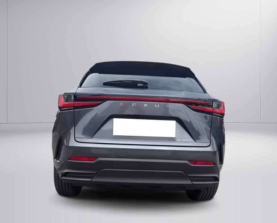 Lexus Seria NX Lexus NX 350h Executive (4)