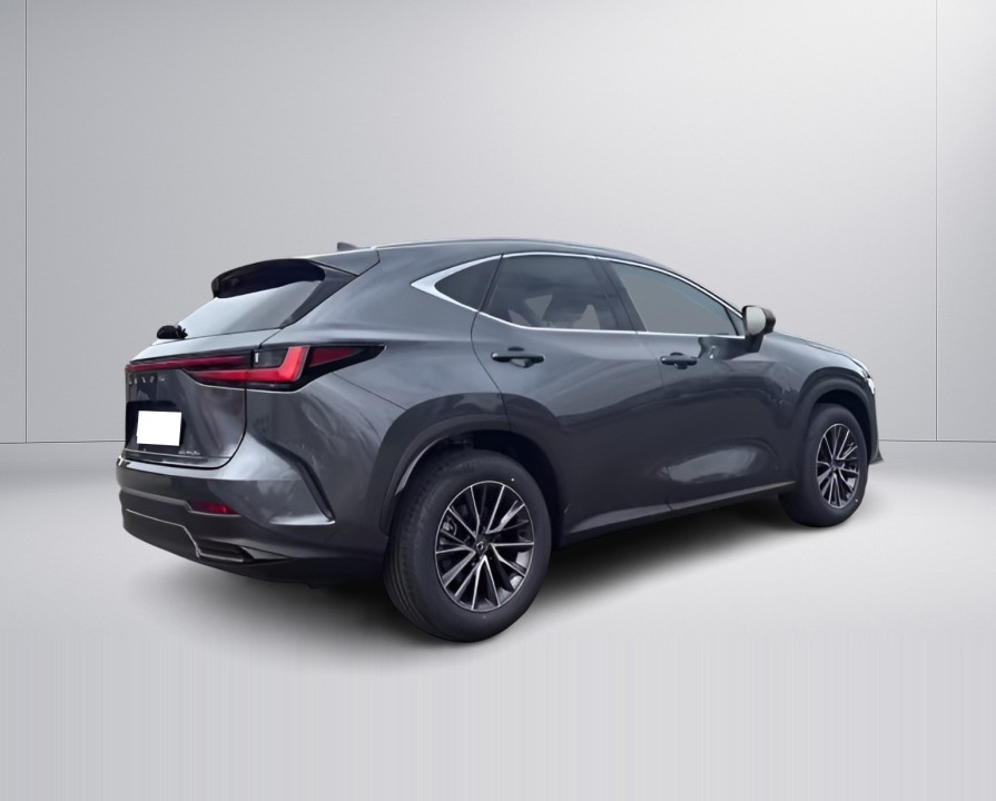 Lexus Seria NX Lexus NX 350h Executive (3)