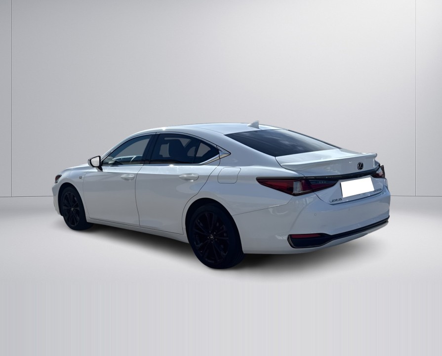Lexus Seria ES 300h F-Sport (5)