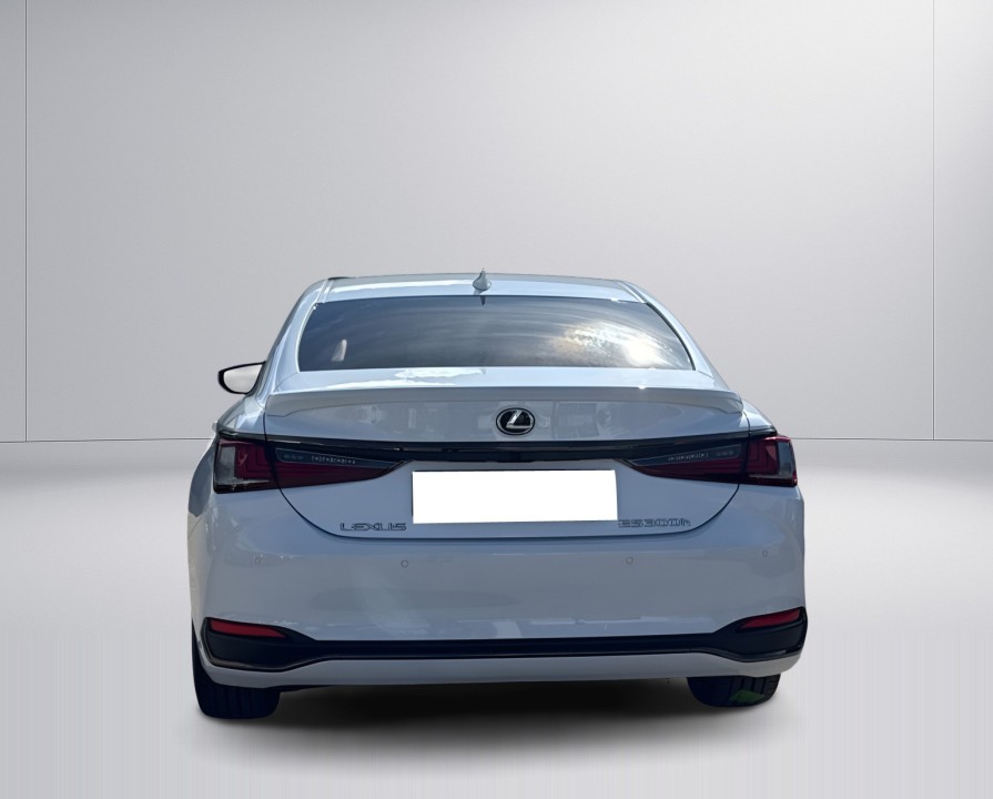 Lexus Seria ES 300h F-Sport (4)