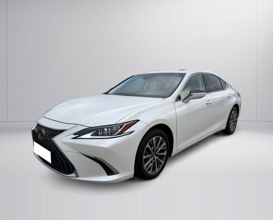 Lexus Seria ES 300h Luxury Line (5)