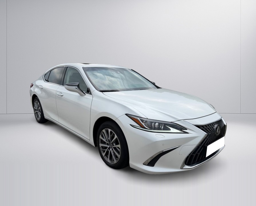Lexus Seria ES 300h Luxury Line