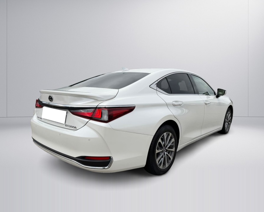 Lexus Seria ES 300h Luxury Line (2)