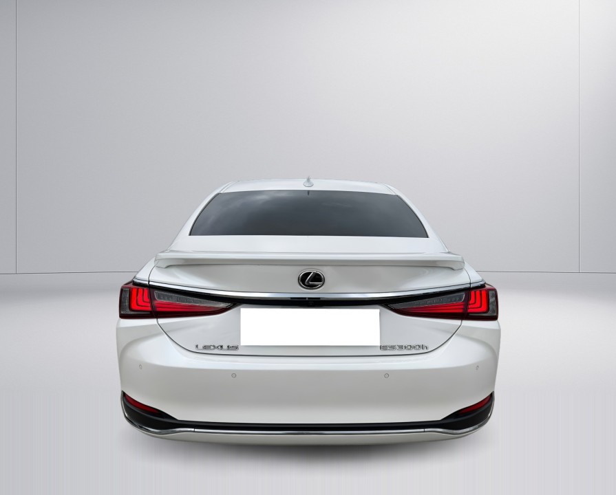 Lexus Seria ES 300h Luxury Line (3)