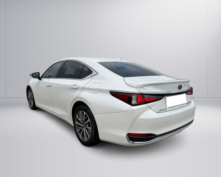 Lexus Seria ES 300h Luxury Line (4)