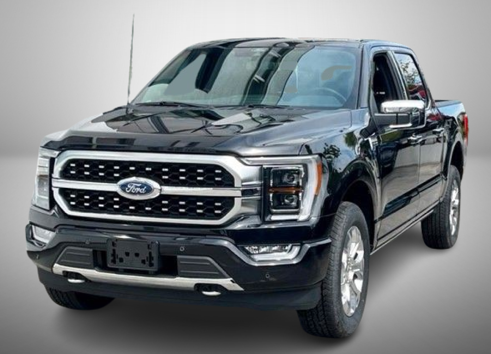 Ford F150 SuperCrew Platinum 3.5 EcoBoost V6 (2)