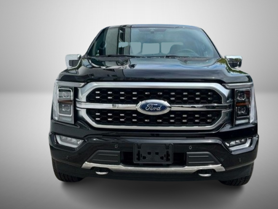 Ford F150 SuperCrew Platinum 3.5 EcoBoost V6 (3)