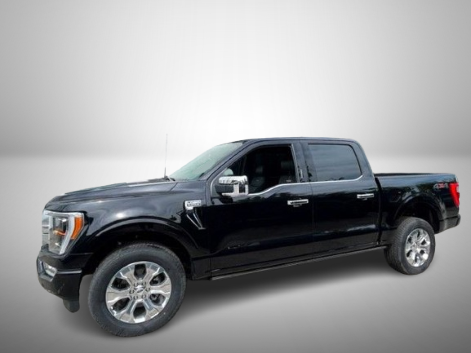 Ford F150 SuperCrew Platinum 3.5 EcoBoost V6 (4)