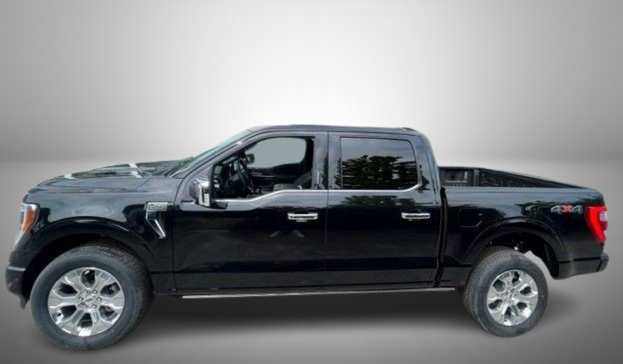 Ford F150 SuperCrew Platinum 3.5 EcoBoost V6 (5)