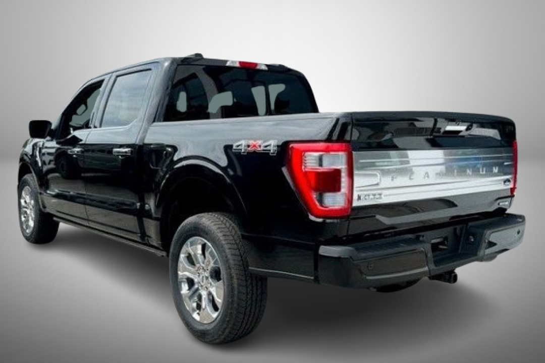 Ford F150 SuperCrew Platinum 3.5 EcoBoost V6 - foto 6