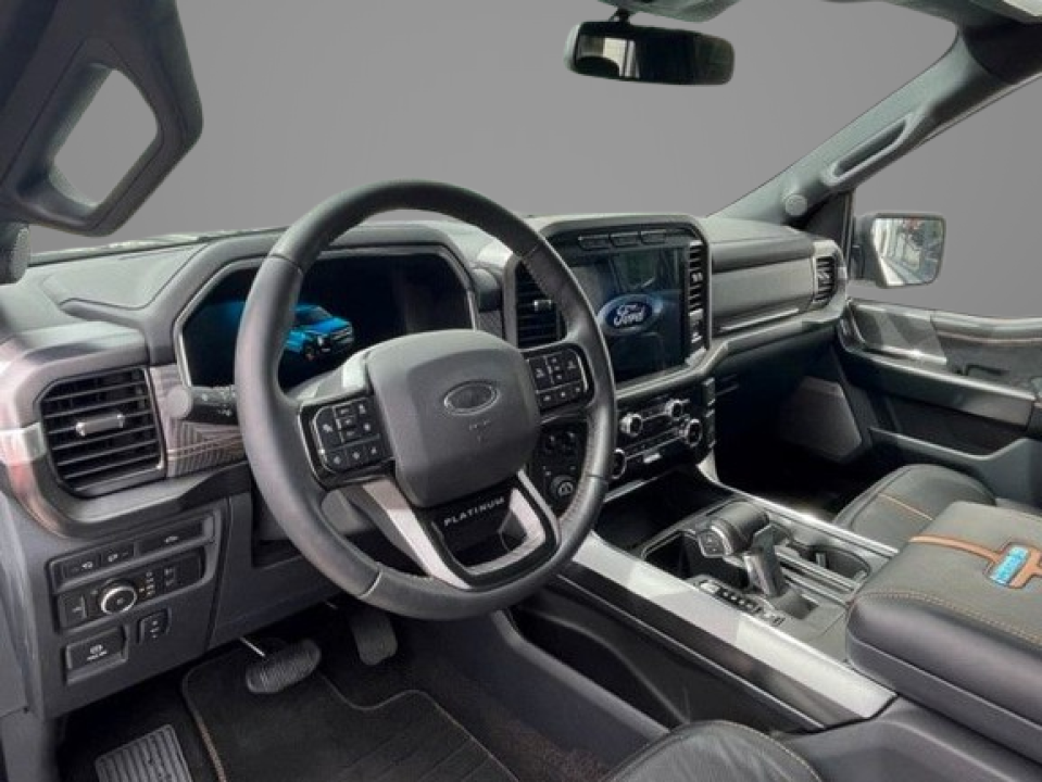 Ford F150 SuperCrew Platinum 3.5 EcoBoost V6 - foto 8