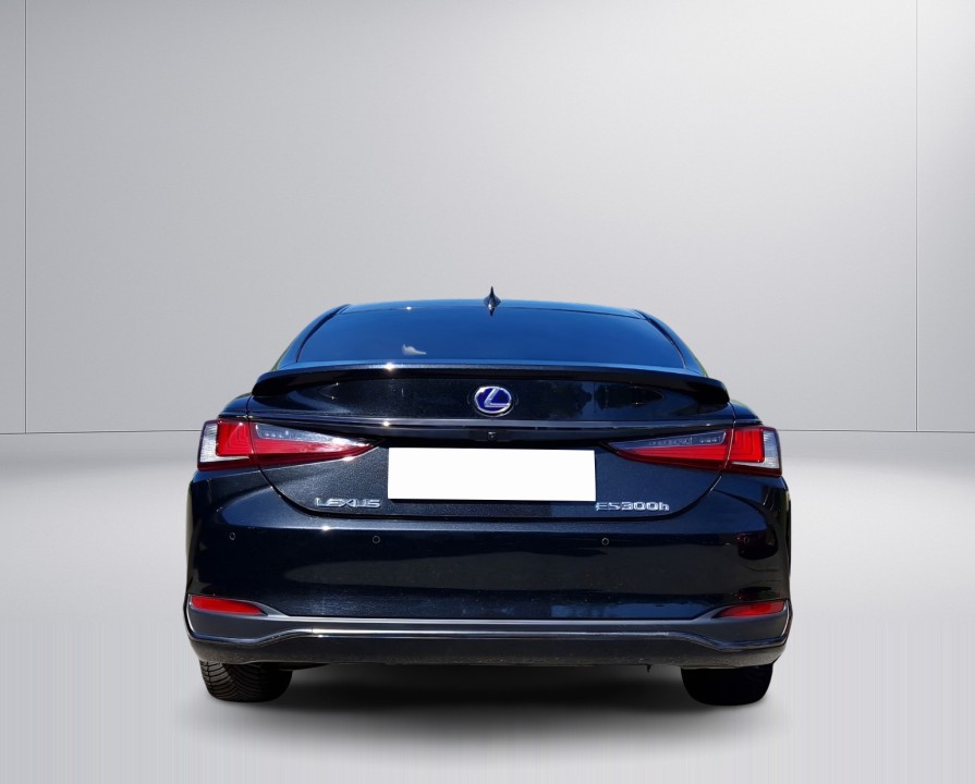 Lexus Seria ES 300h F-Sport (4)