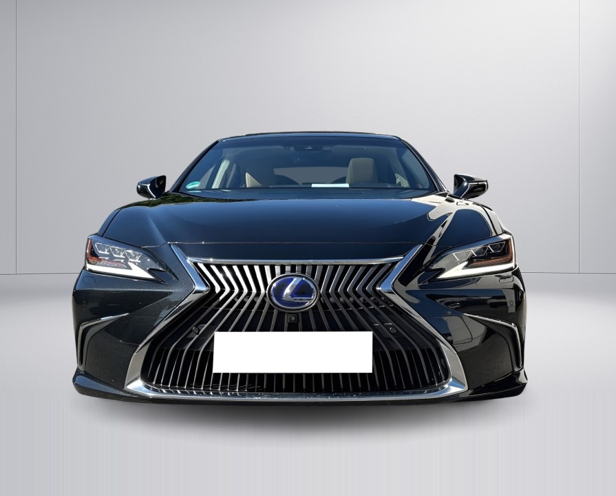 Lexus Seria ES 300h Luxury Line (2)