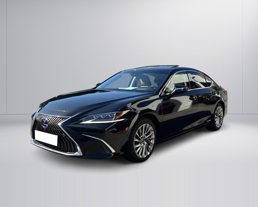 Lexus Seria ES 300h Luxury Line
