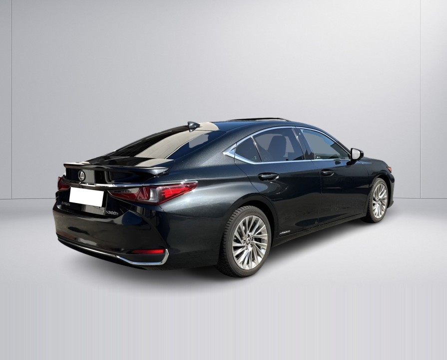 Lexus Seria ES 300h Luxury Line (4)