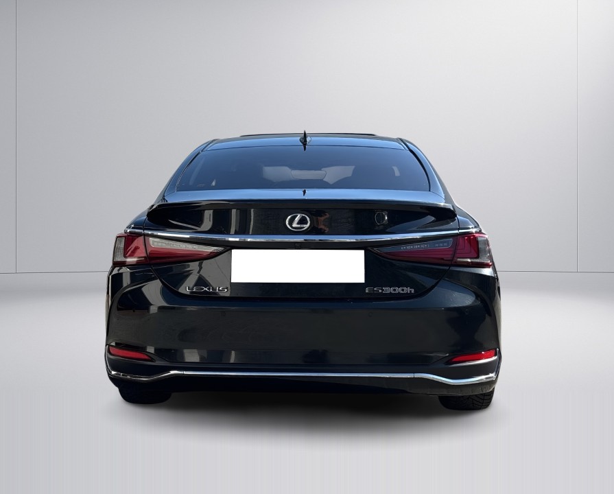 Lexus Seria ES 300h Luxury Line (5)