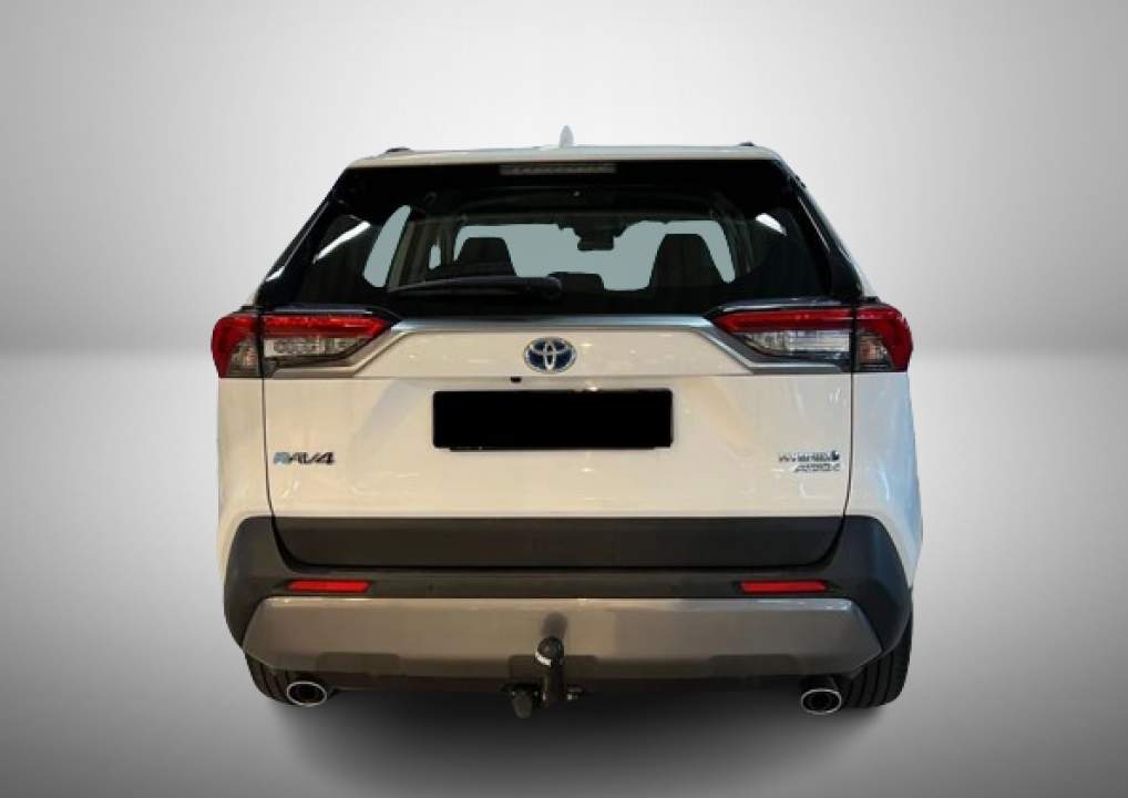 Toyota RAV4 Hybrid AWD (4)