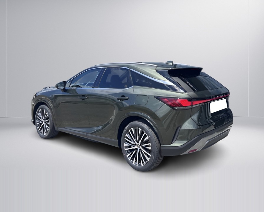 Lexus Seria RX 450h+ AWD Executive Line (5)