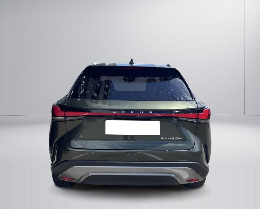 Lexus Seria RX 450h+ AWD Executive Line (4)