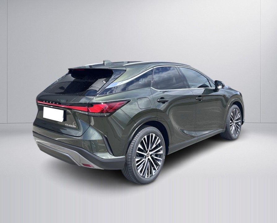 Lexus Seria RX 450h+ AWD Executive Line (3)