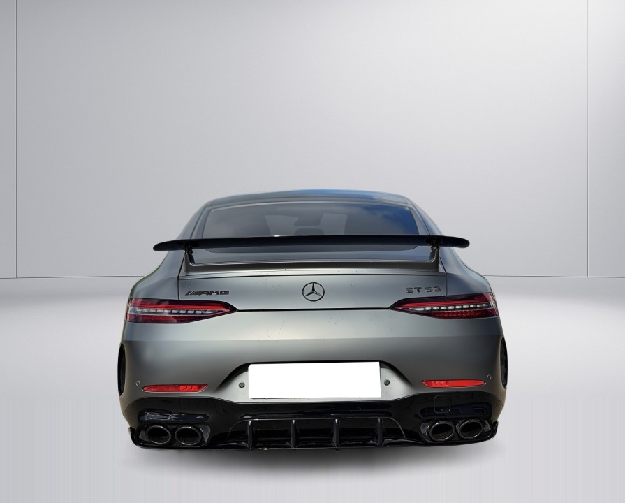 Mercedes-Benz AMG GT 53 4MATIC+ (4)