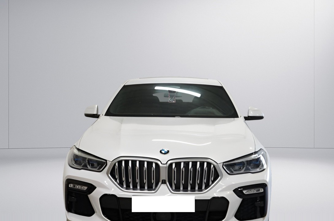 BMW X6 xDrive40i (2)