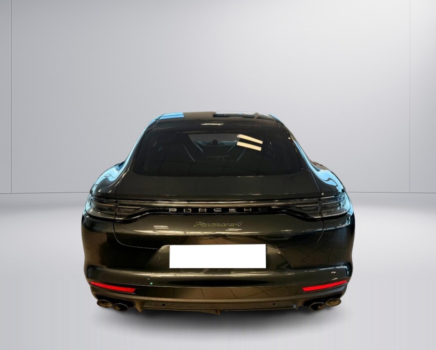 Porsche Panamera 4 E-Hybrid Platinum Edition (3)