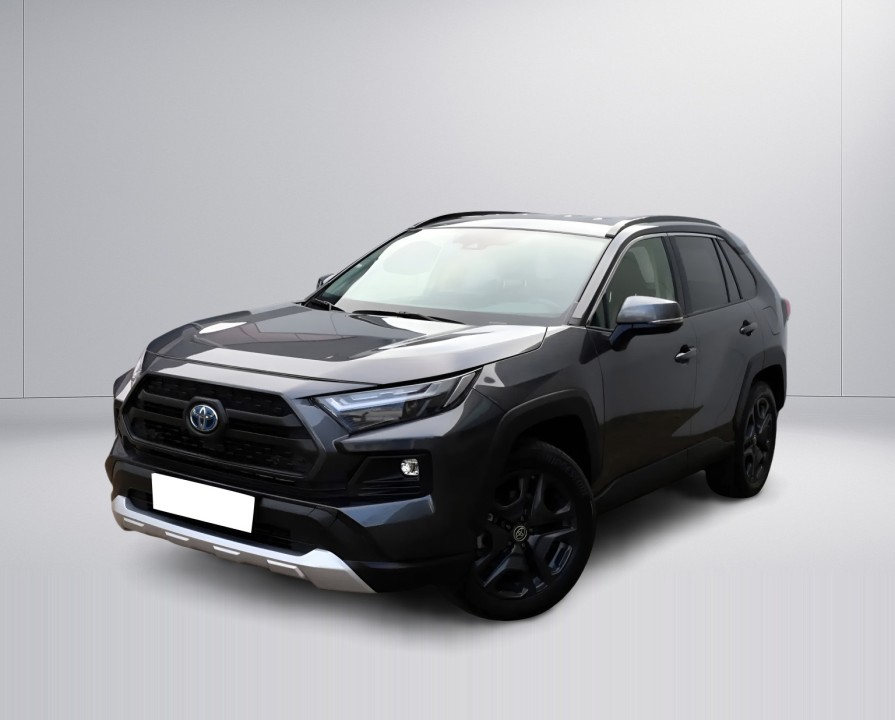 Toyota RAV4 (2)