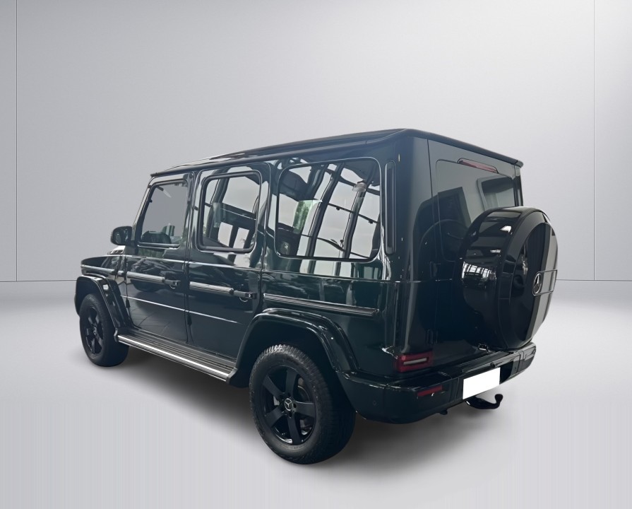 Mercedes-Benz G 450d (5)