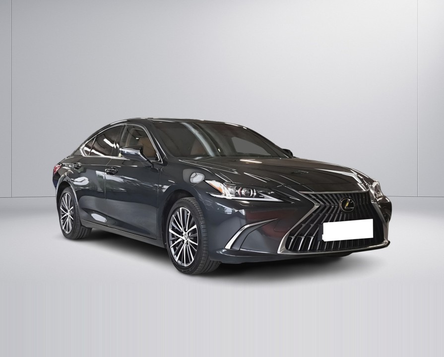 Lexus Seria ES 300h Business Edition