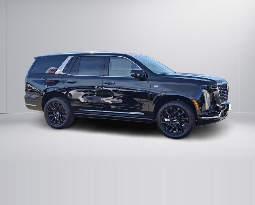 Cadillac Escalade Luxury (2)