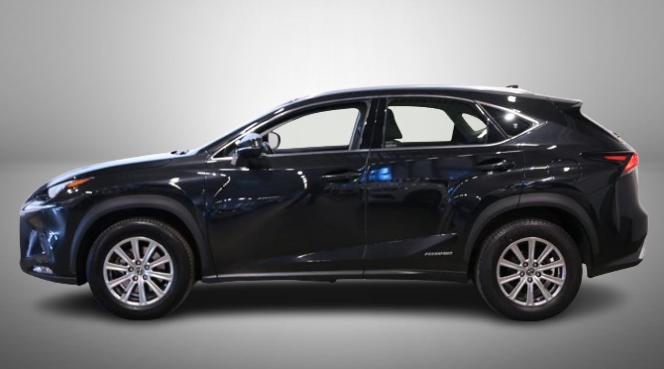 Lexus Seria NX 300h AWD Business (2)