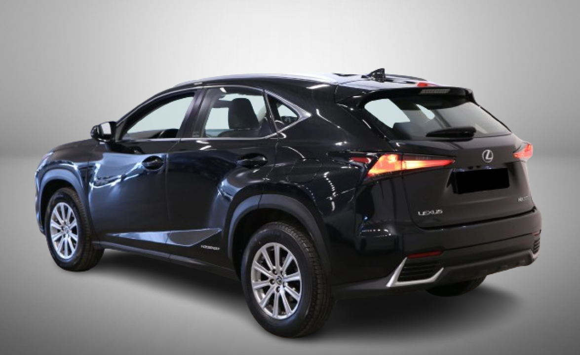 Lexus Seria NX 300h AWD Business (3)