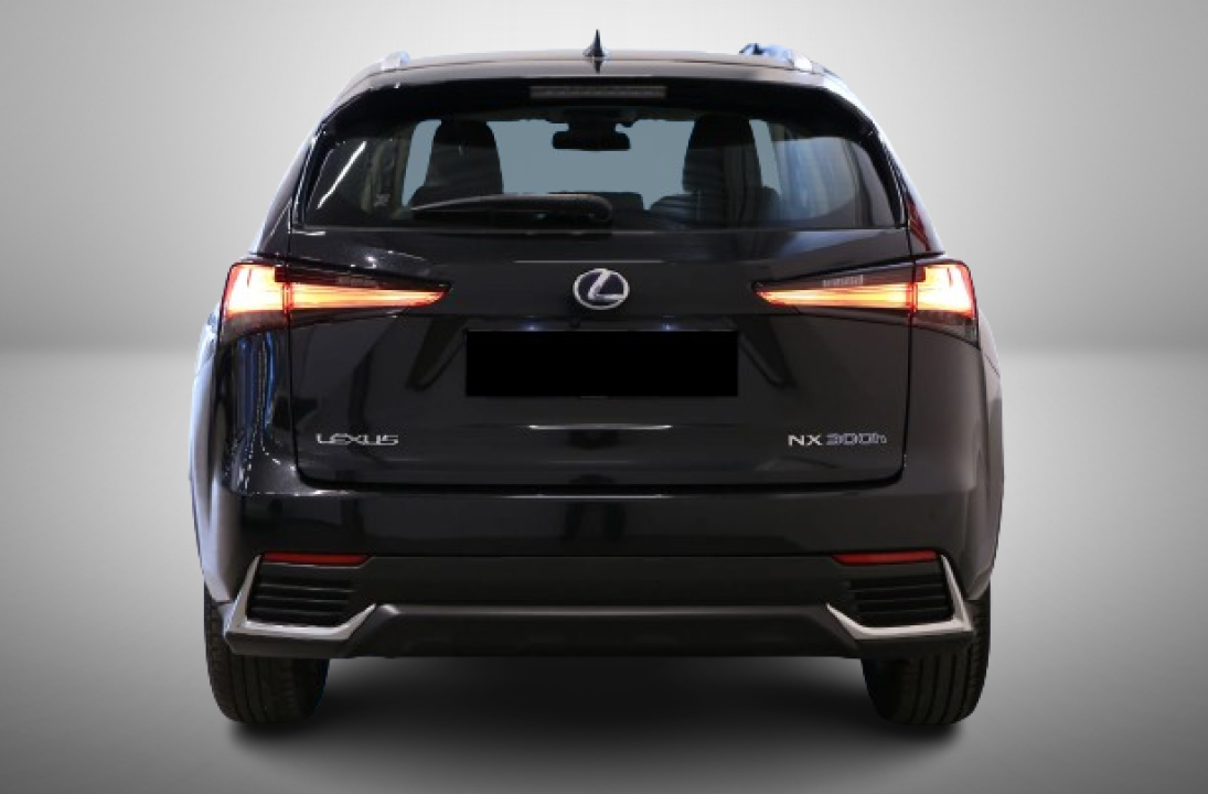 Lexus Seria NX 300h AWD Business (4)