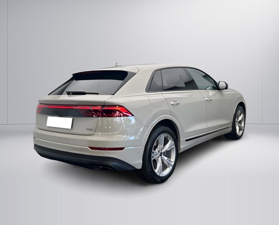 Audi Q8 55 TFSIe quattro S-Line (4)