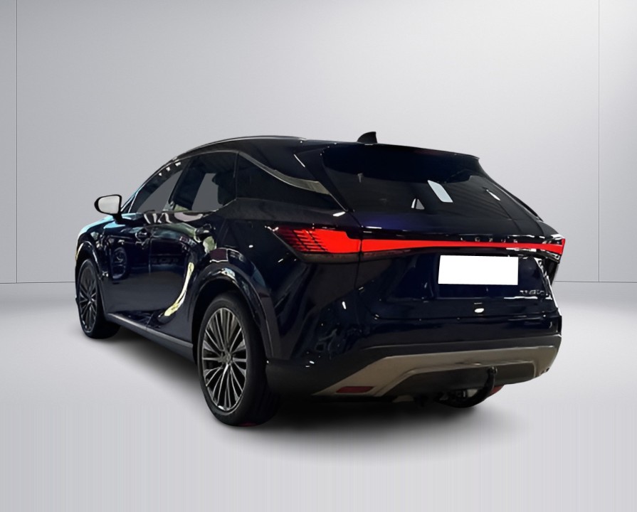 Lexus Seria RX 450h+ AWD Luxury Line (5)