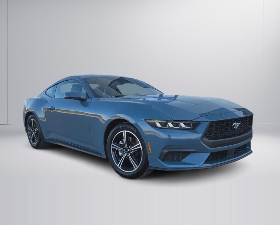 Ford Mustang (2)