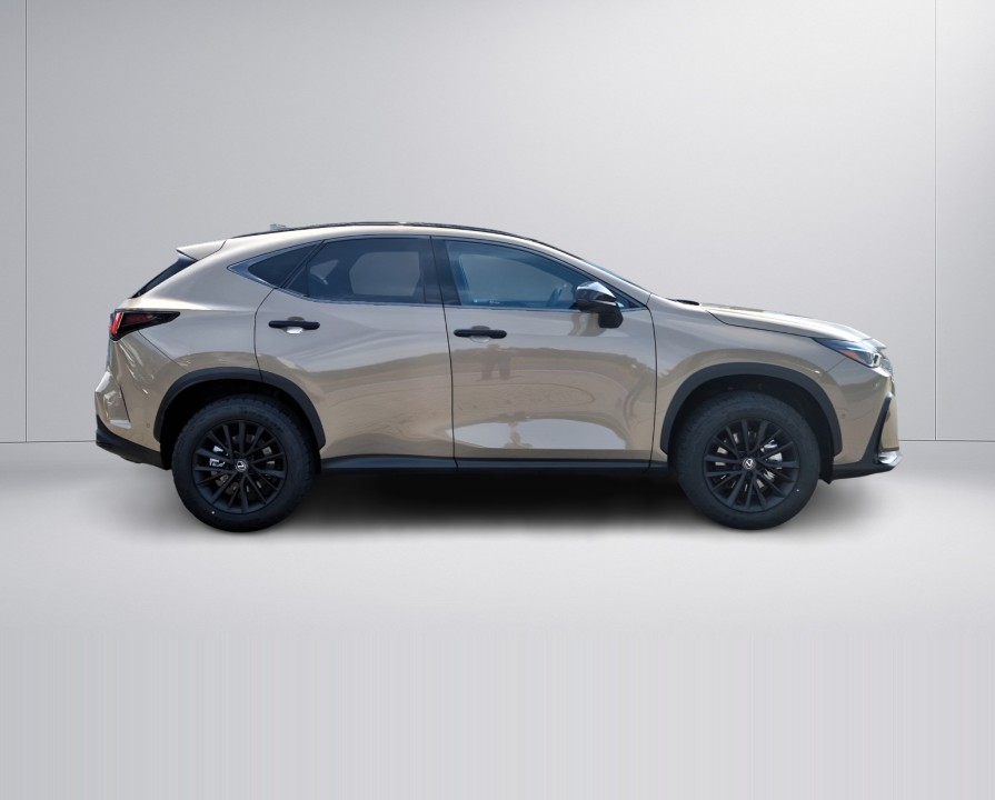 LEXUS NX 2025 — imagine 2