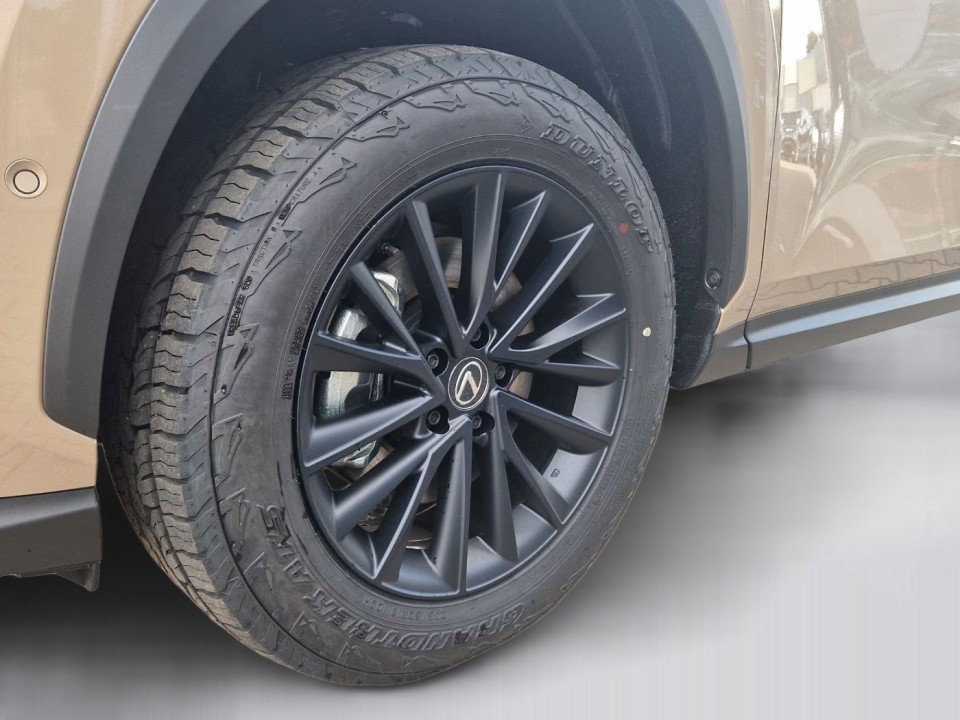 Lexus Seria NX 350h AWD Overtrail - foto 19